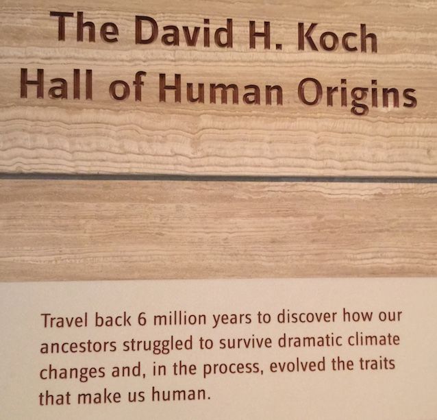 KochExhibit
