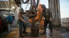 Spending deal to lift oil export ban