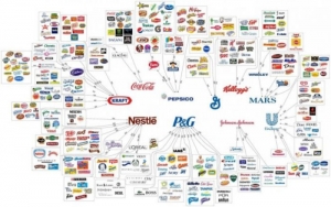 End Corporate Rule