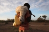 Ekai Lopeyak walks home carrying the body of one of his family&rsquo;s goats, which he found dead outside the town of Kalokol on the western shore of Lake Turkana in November. Traditional pastoralists have turned to fishing in ever greater numbers in recent years as drought has decimated their herds of livestock. 