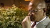 Dr. Mahmoud ElSohly has run the federal government&rsquo;s Marijuana Research Project at the University of Mississippi since 1980.